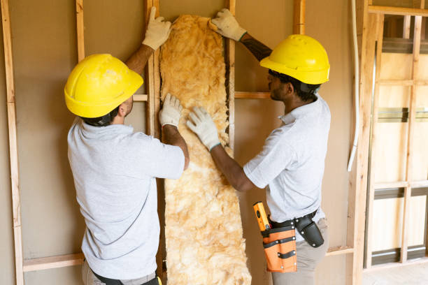 Best Commercial Insulation Services  in Saginaw, MI