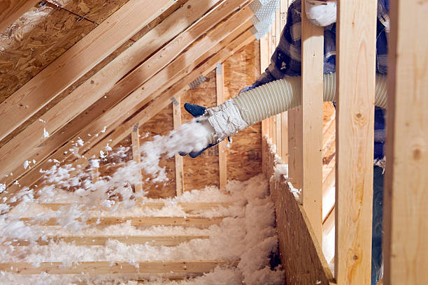 Best Eco-Friendly or Green Insulation Solutions  in Saginaw, MI